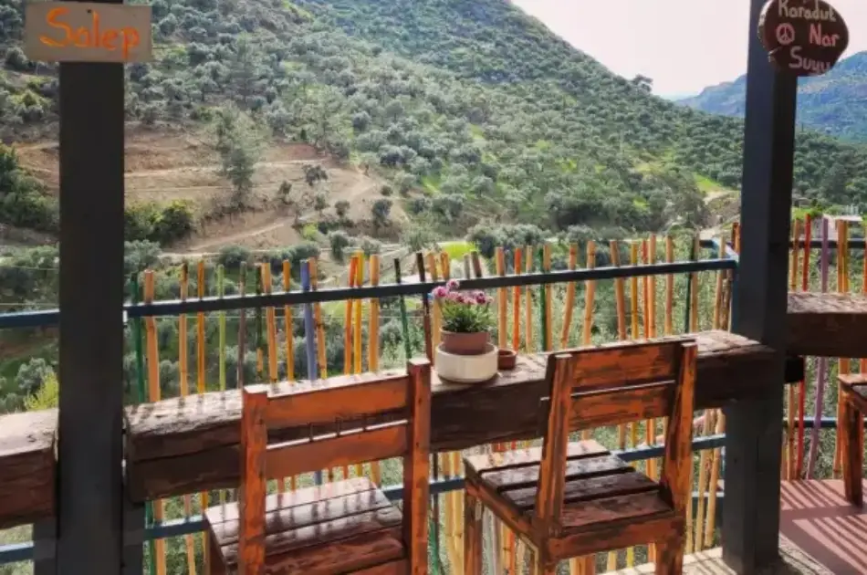 Full Day Private Ephesus & Sirince Village Tour From İzmir