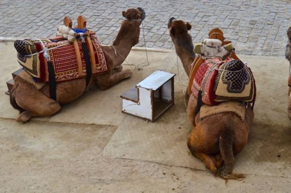 Green Tour Activity Bundle Option 1 in Cappadocia