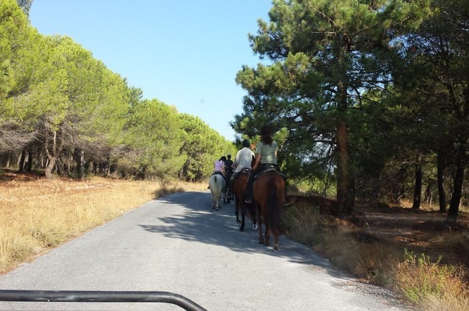 Kusadasi Horse Safari Tour For an Unforgettable Experience