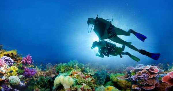 Marmaris Scuba Diving