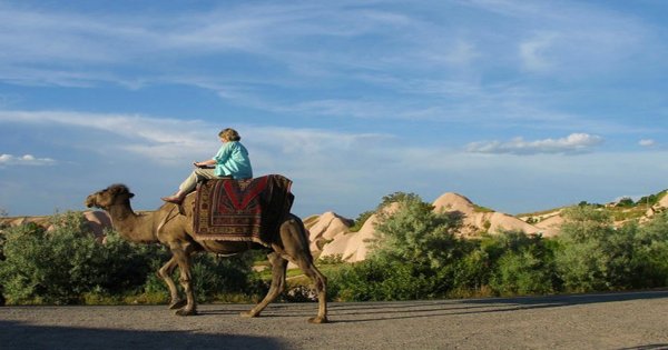 Panoramic Cappadocia View With The Camel Ride