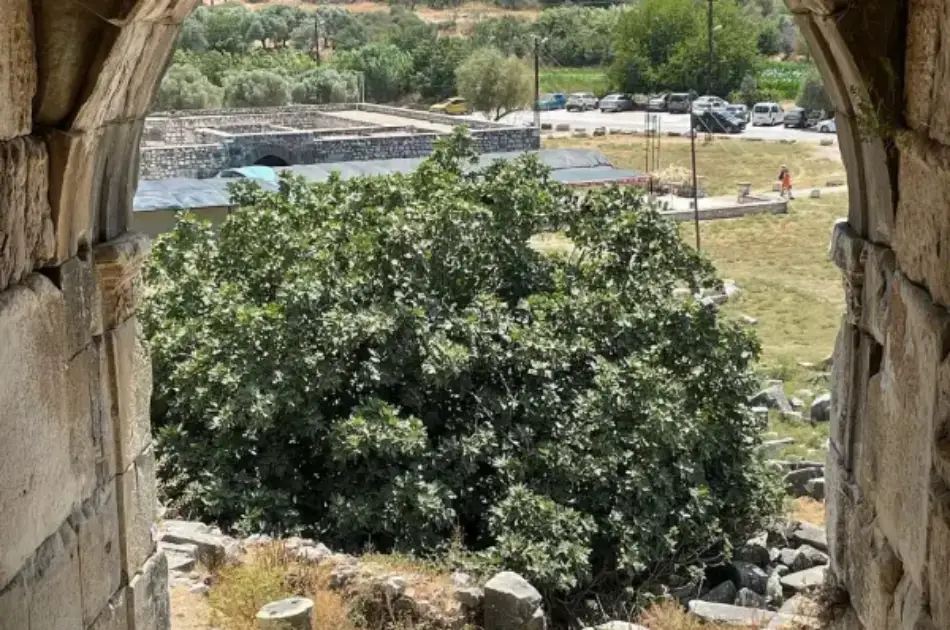 Private Ephesus & Virgin Mary House Tour From Izmir