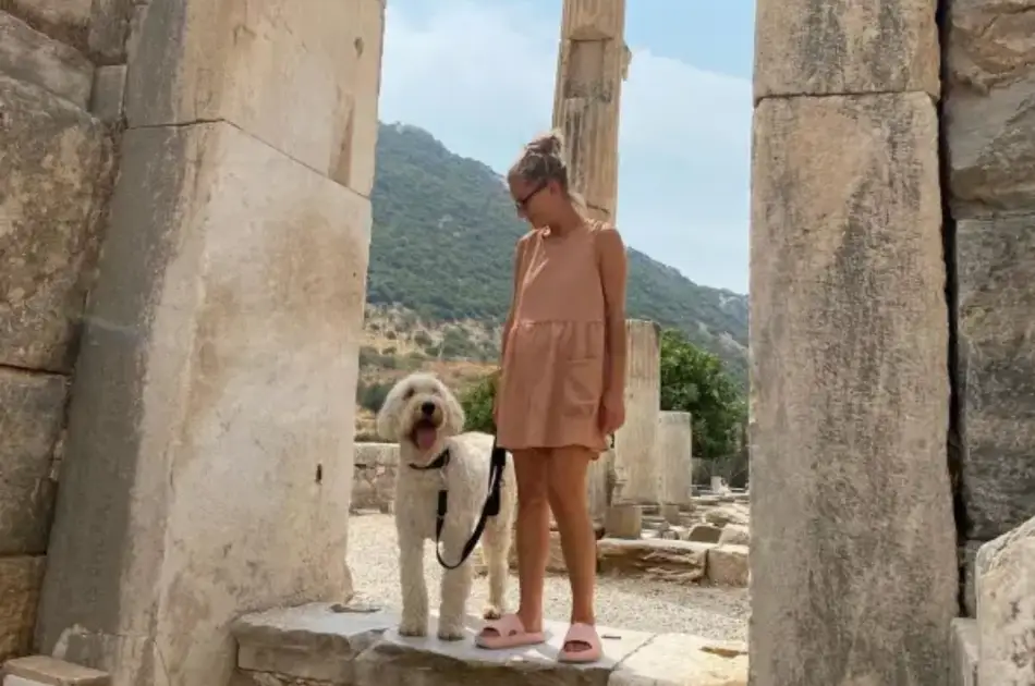 Private Ephesus Tour From Bodrum Marina & Hotels