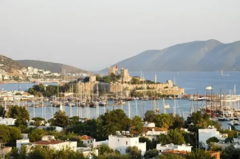 Private Ephesus Tour From Bodrum Marina & Hotels