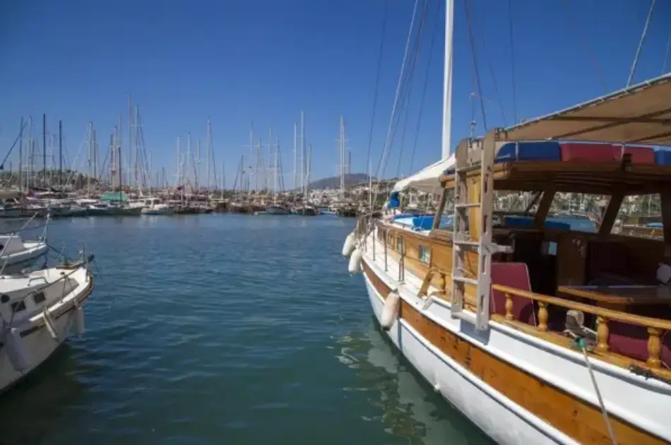 Private Ephesus Tour From Bodrum Marina & Hotels