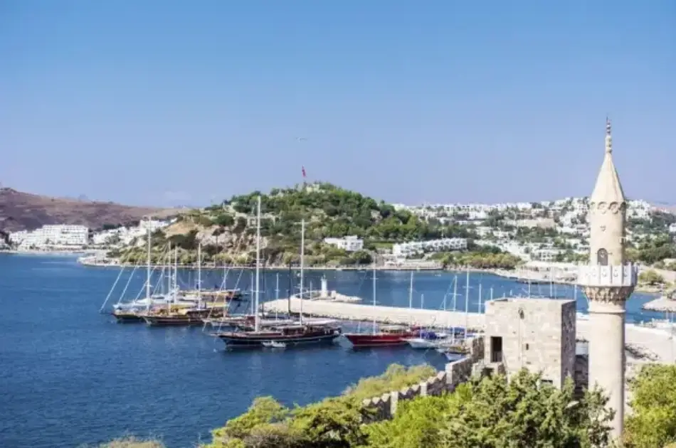 Private Ephesus Tour From Bodrum Marina & Hotels