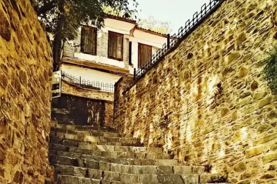 Private Tour from Izmir Port to Ephesus and Kirazli Village