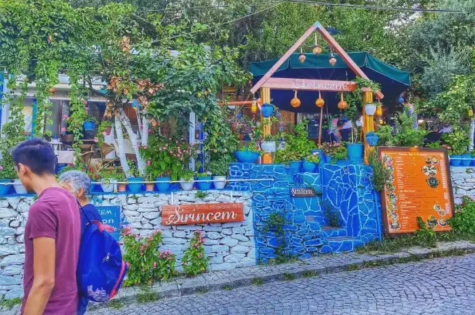 Private Tour from Izmir Port to Ephesus and Kirazli Village