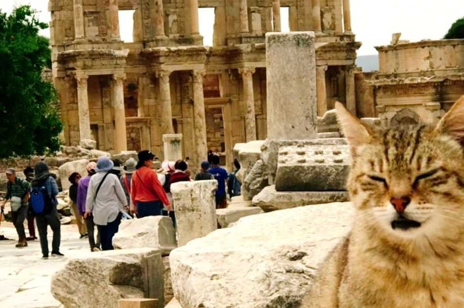 SKİP-THE LINE | Half Day Ephesus and Temple of Artemis Tour from Kusadasi