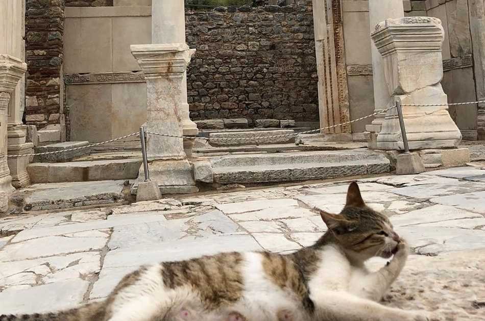 SKİP-THE LINE | Half Day Ephesus and Temple of Artemis Tour from Kusadasi