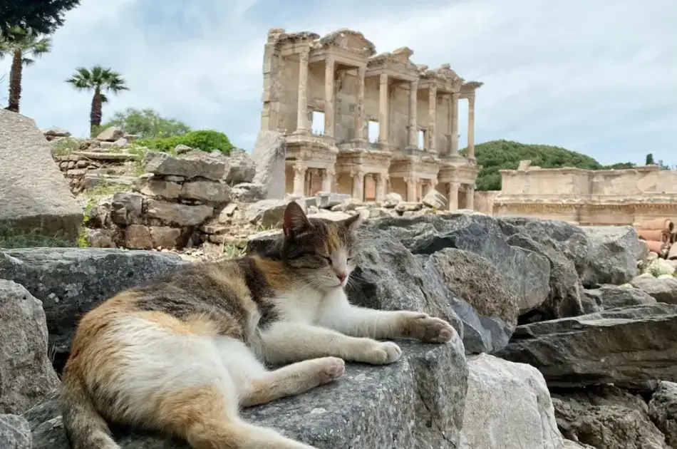 SKIP THE LINE PRIVATE Highlights of Ephesus