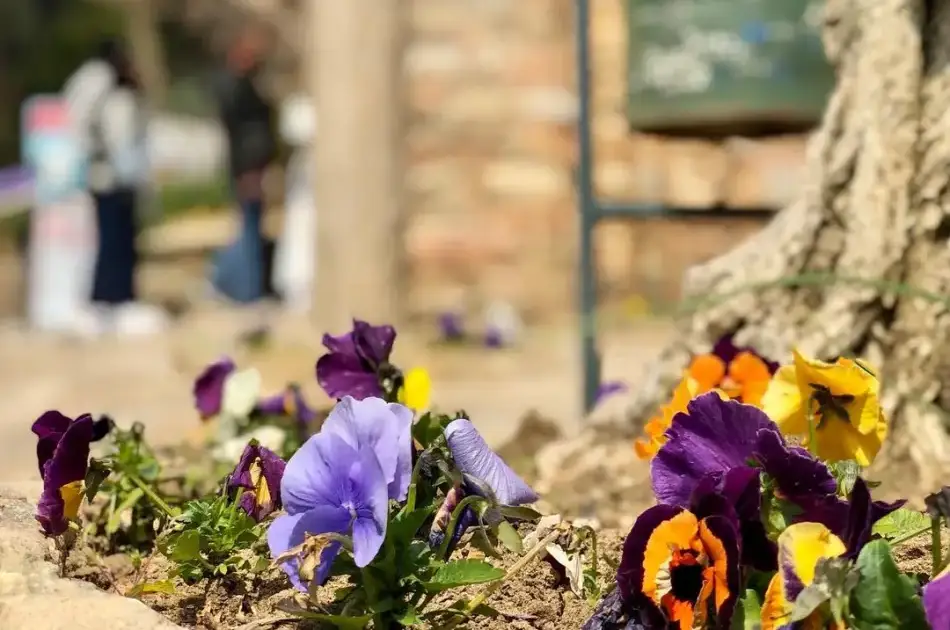 Skip-the-Line Ultra Private All-Inclusive Half-day Ephesus Tour From Kusadasi Port