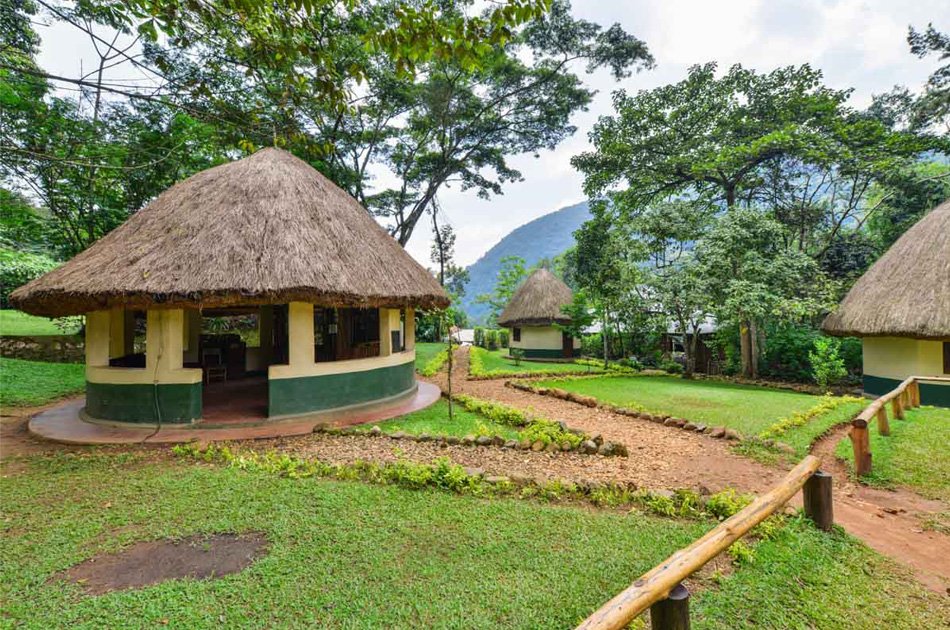 11 Days Classic Wildlife Of Uganda Tour