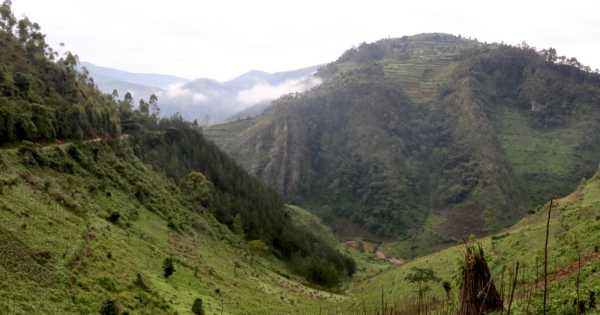 3 Day Gorilla Tracking in Bwindi from Kigali