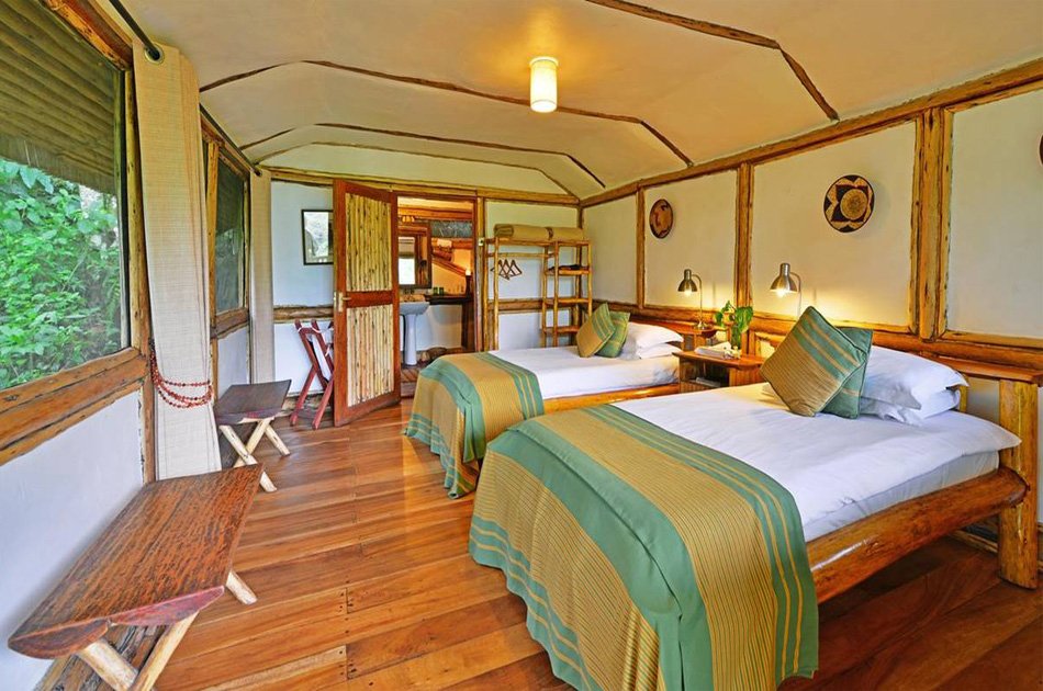 4 Days Bwindi Safari Tour