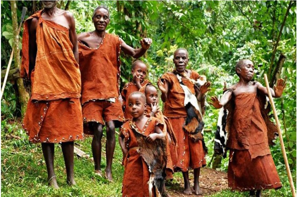 5-Day Private Tour Of Kibale And Bwindi Impenetrable National Park