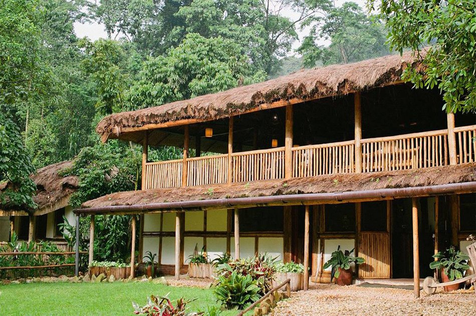 5-Day Private Tour Of Kibale And Bwindi Impenetrable National Park