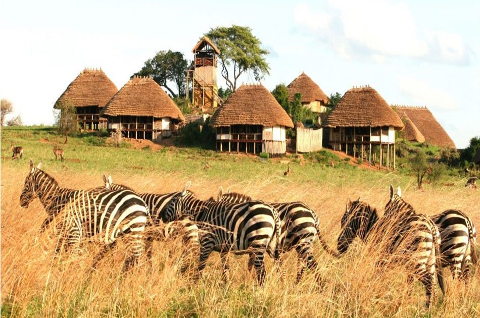 8 Days Game Adventure Safari Kidepo Valley  National Park And Sipi Falls