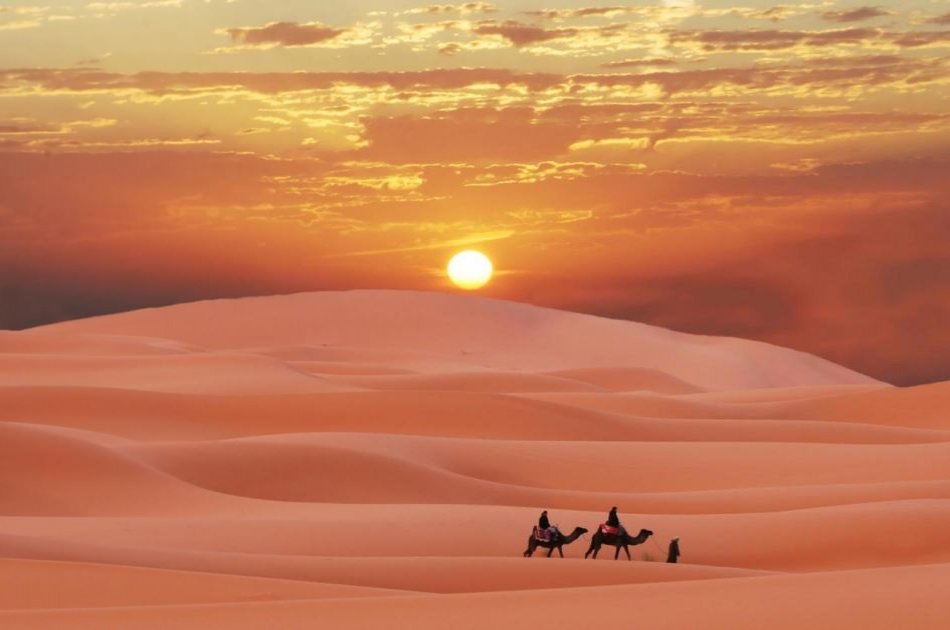 Private Morning Safari of Arabian Desert
