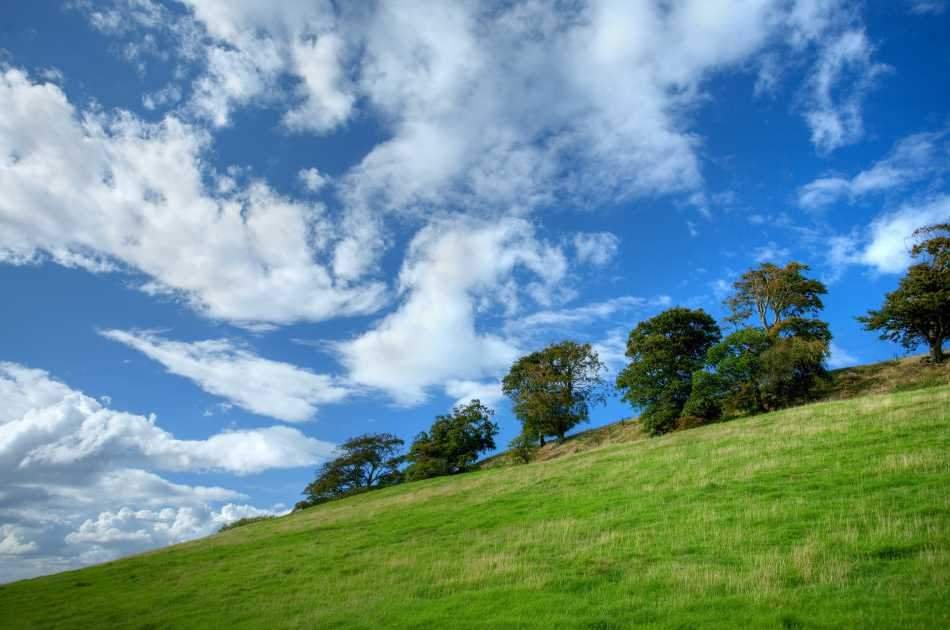 Full Day Private Tour of Oxford and the Cotswolds