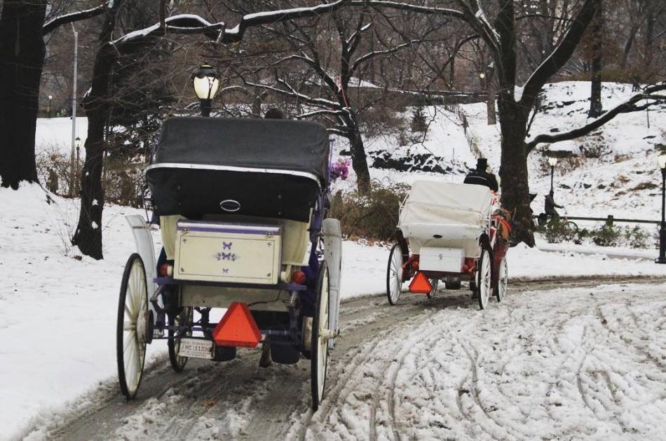 Central Park Horse and Carriage Ride with Professional Photographer