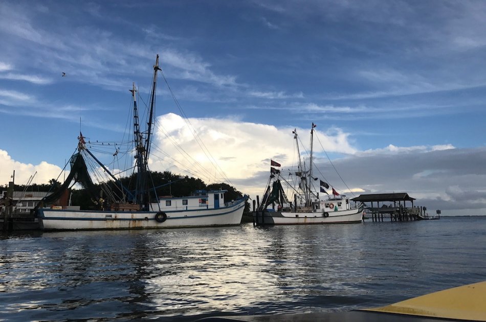 Charleston Speed Boat Adventures