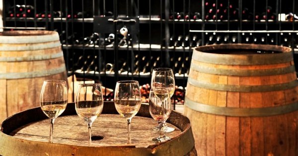Customized Full Day Private Wine Tour in Virginia