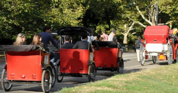 Enjoyable Hour Long Pedicab Tour of Central Park