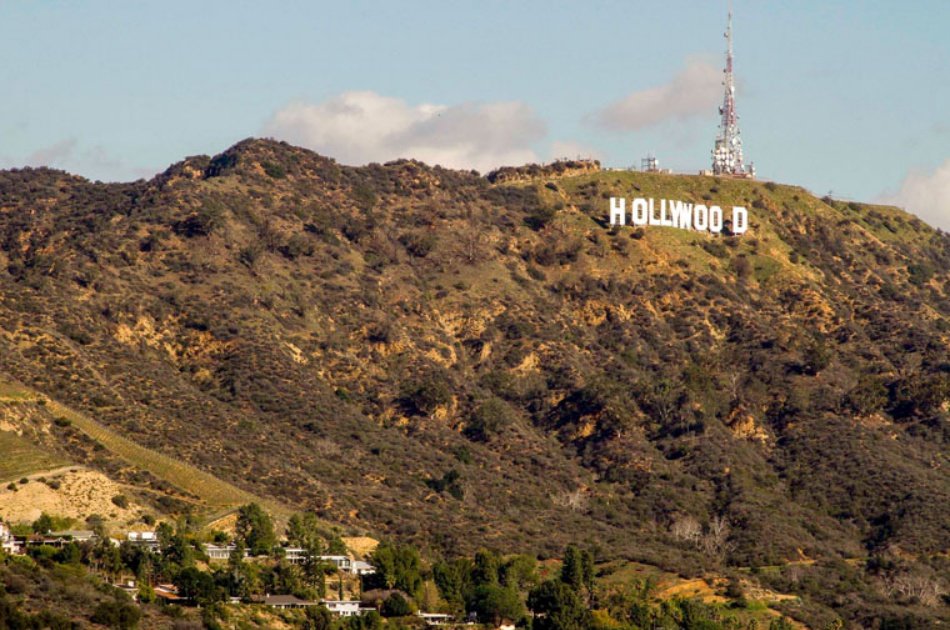 Experience the Winding Hollywood Hills on an Open Bus Tour