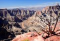 Grand Canyon West Rim Bus Tours with Helicopter, Boat, Skywalk Tickets and Hoover Dam Photo Stop
