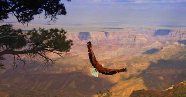 Its Not A Gamble To See The Super Sights On A Private Tour