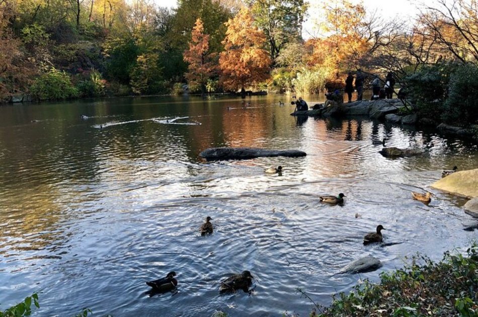 Story Behind Central Park: Manhattan’s Backyard, Wilderness by Design
