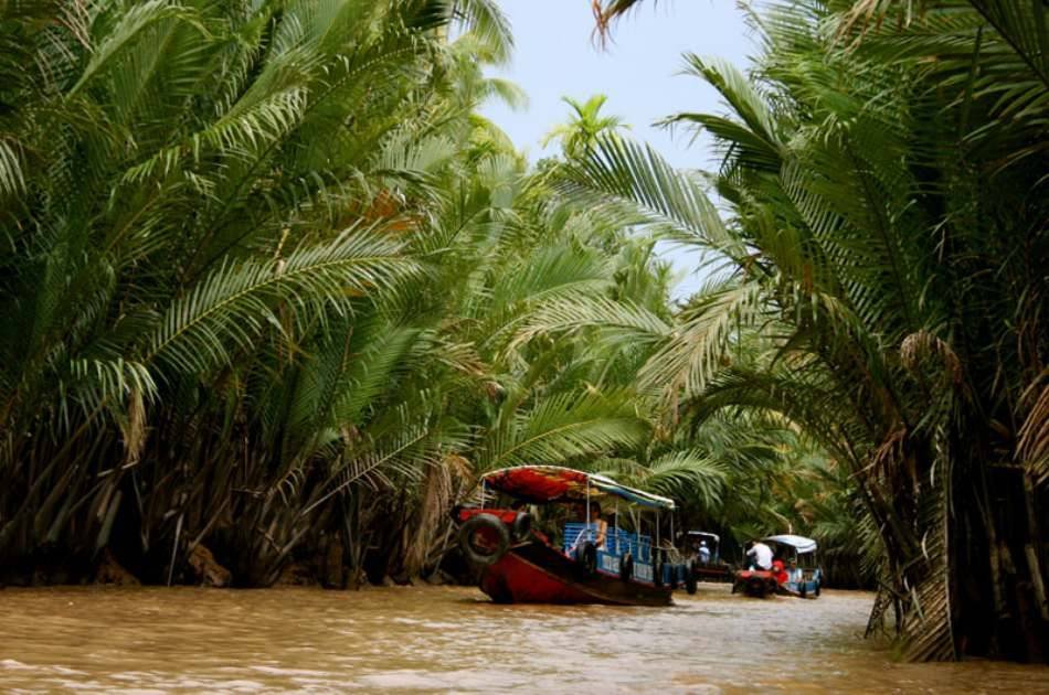 Cooking on Mekong Delta & Cai Be Floating Market