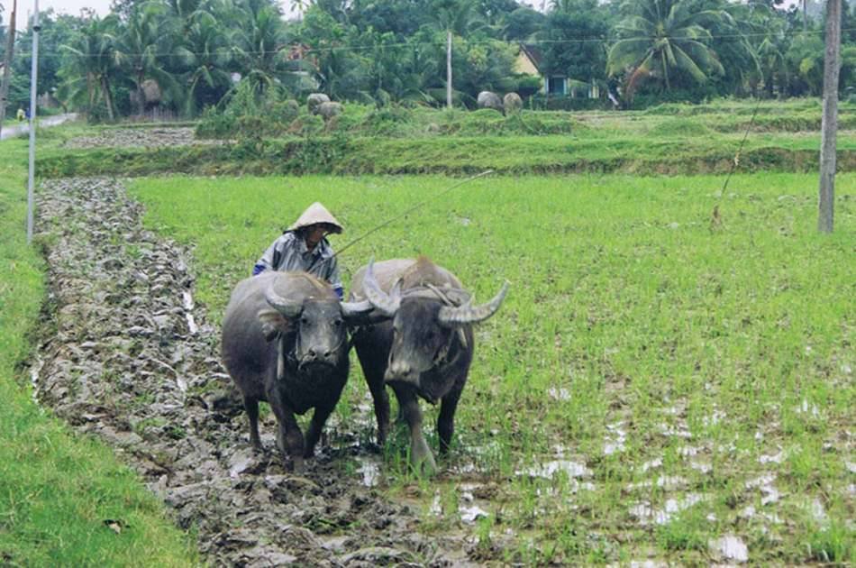 Da Lat Countryside Tour