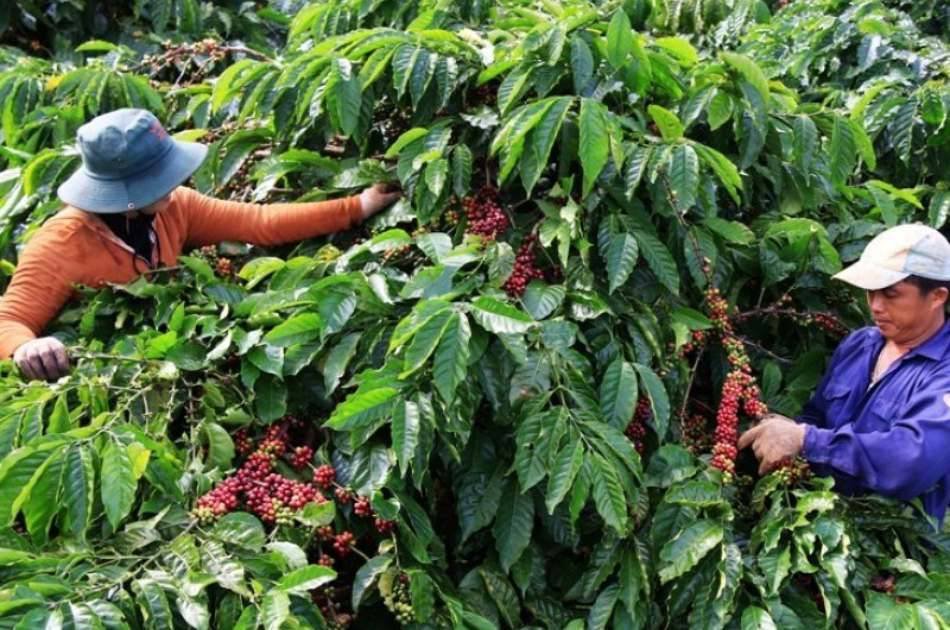 Da Lat Countryside Tour