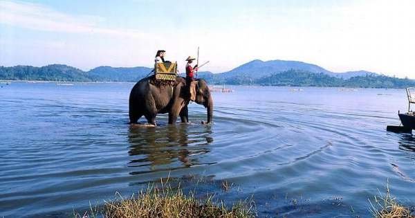 Da Lat Elephant Riding