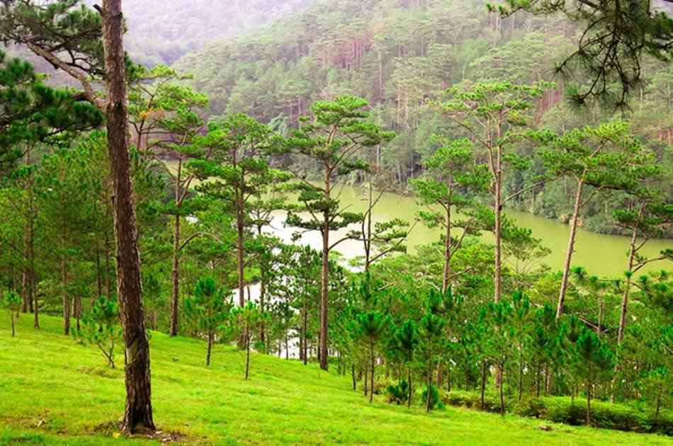 Da Lat Full Day Cultural Tour