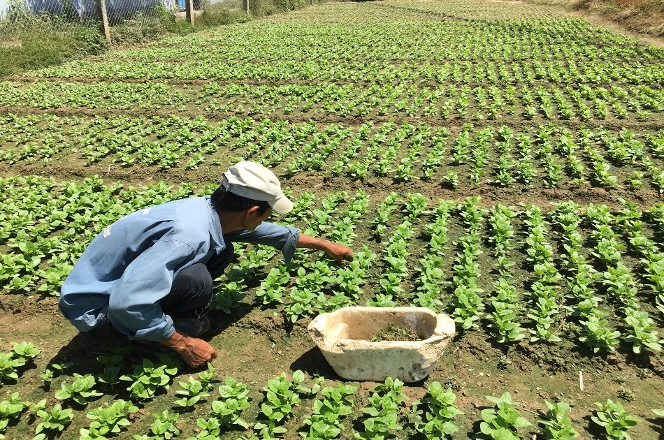 Half Day Biking Countryside Tour & Cooking Class in Nha Trang