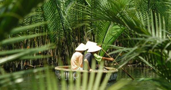 Hoian Basket Boat & Bike Half Day Tour