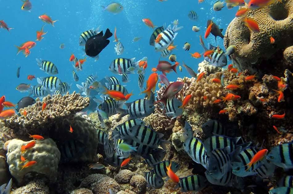 Island & Snorkeling Private Tour by Wooden Boat