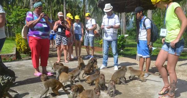 Monkey Island Joining Tour & Relaxing in Nha Phu Bay