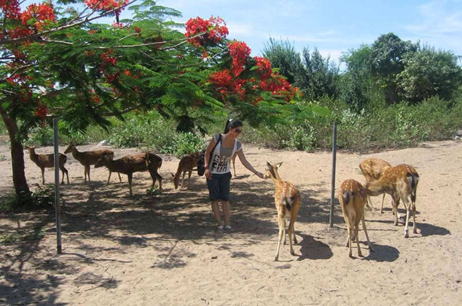 Monkey Island Joining Tour & Relaxing in Nha Phu Bay