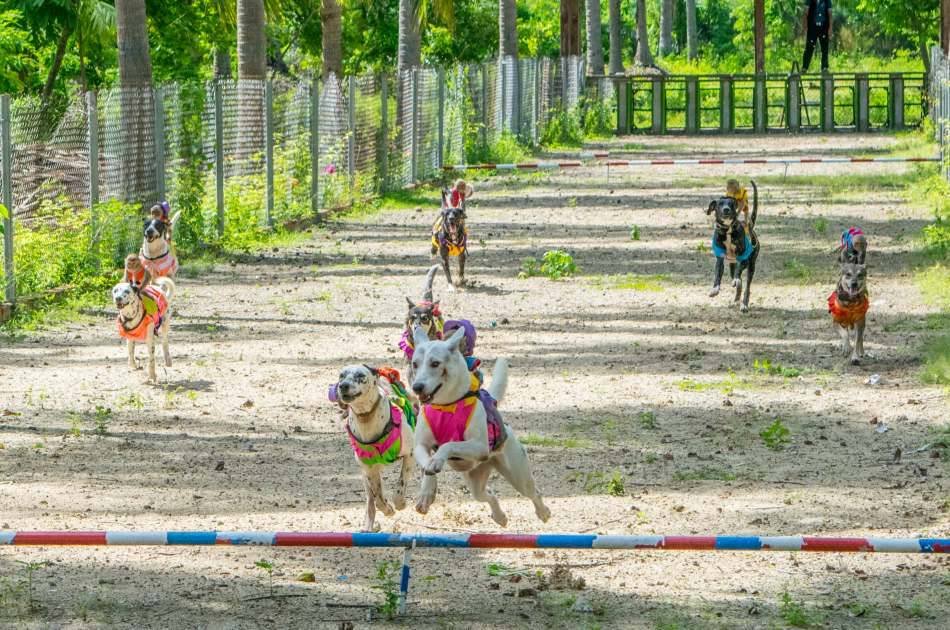 Monkey Island Joining Tour & Relaxing in Nha Phu Bay