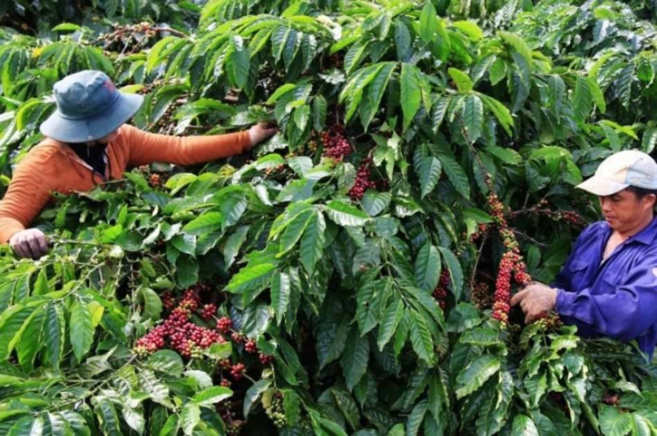 Nha Trang Countryside Tour by Bike