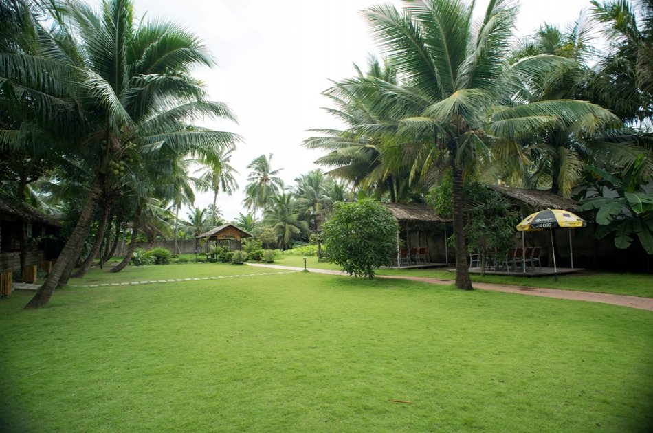 Private Full Day Authentic Mekong Delta Ben Tre from Ho Chi Minh City