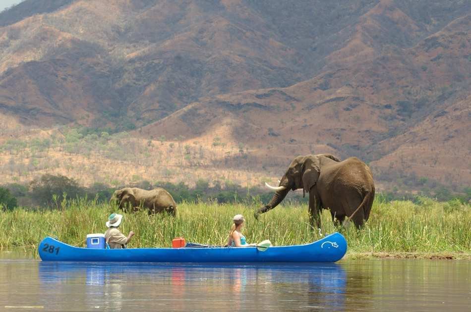 11 Days Extraordinary Zambia Safari & Tour Experience