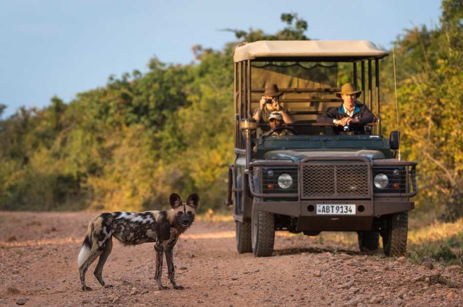 11 Days Extraordinary Zambia Safari & Tour Experience