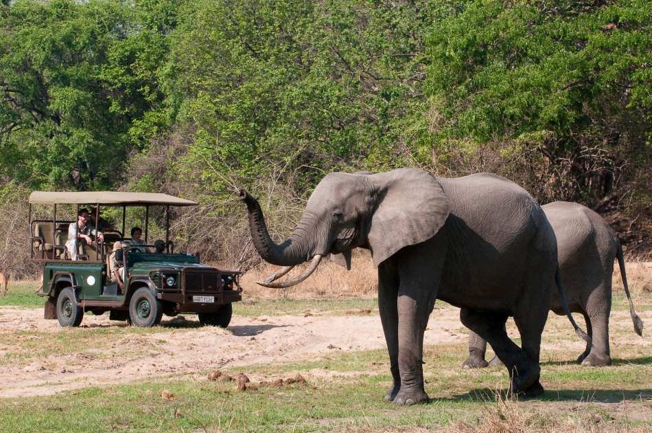 11 Days Extraordinary Zambia Safari & Tour Experience