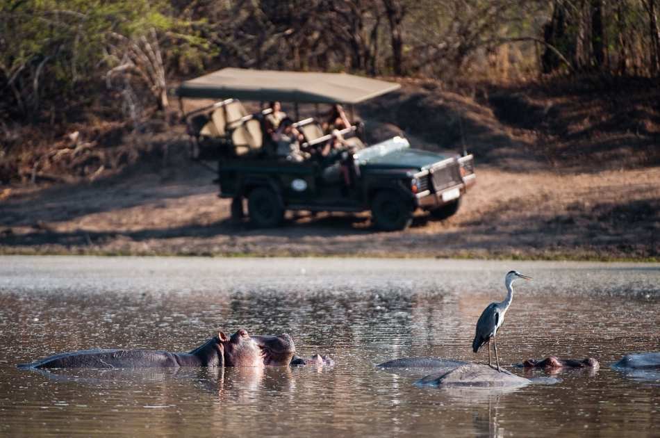 11 Days Extraordinary Zambia Safari & Tour Experience