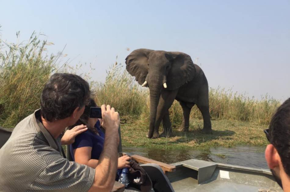 4 Days Breathtaking Safari in Lower Zambezi National Park, Zambia